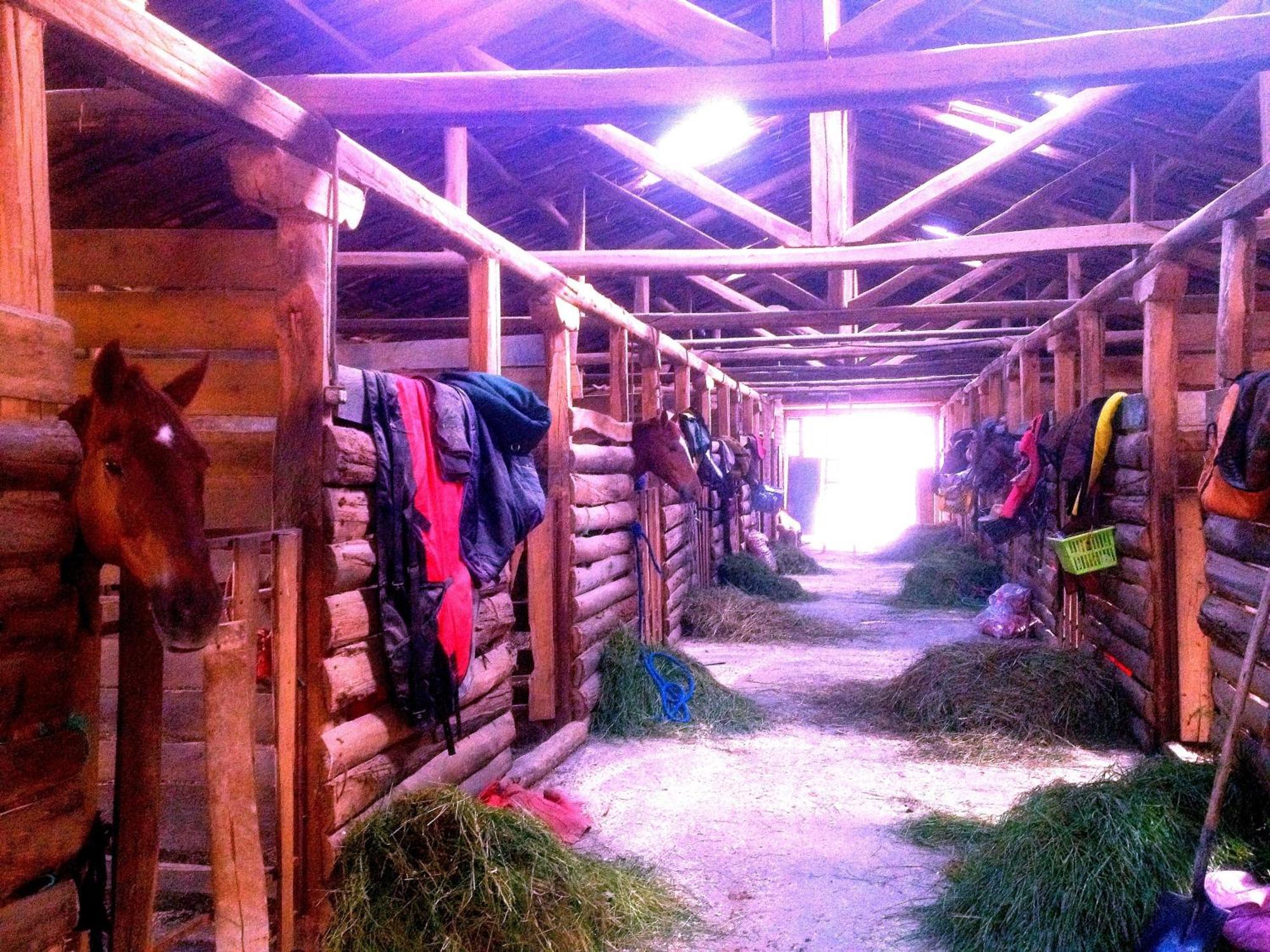 Hosteria Caballo Campana Cuenca Dış mekan fotoğraf